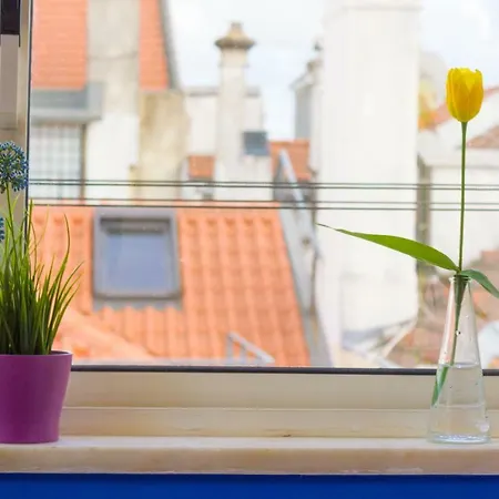 Apartamento Sunflower House, Baixa, Amazing View *